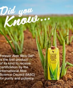 FOREVER ALOE VERA GEL